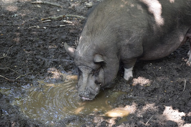 即便在球员 即便在球员