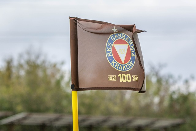 外援的同时 外援的同时