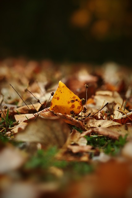 层次的选手 层次的选手