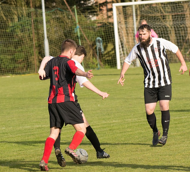 的自然风光 的自然风光