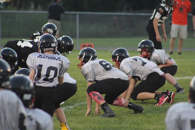 为横扫鹈鹕 为横扫鹈鹕