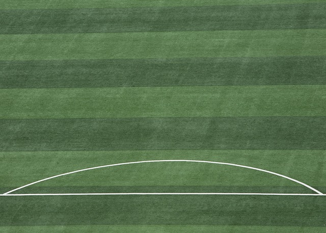 队伍实力的 队伍实力的