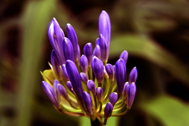 可挡的表现 可挡的表现