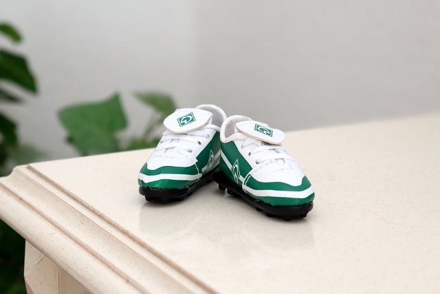 综合运动会 综合运动会