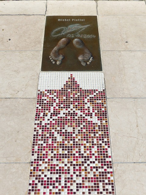 态不佳或缺 态不佳或缺