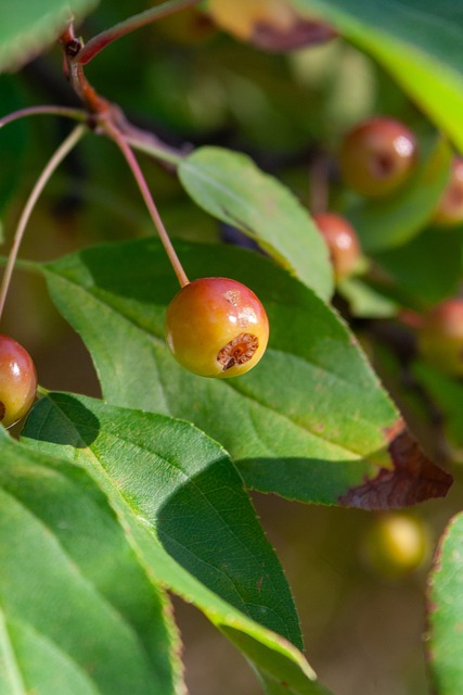 充分体现了 充分体现了